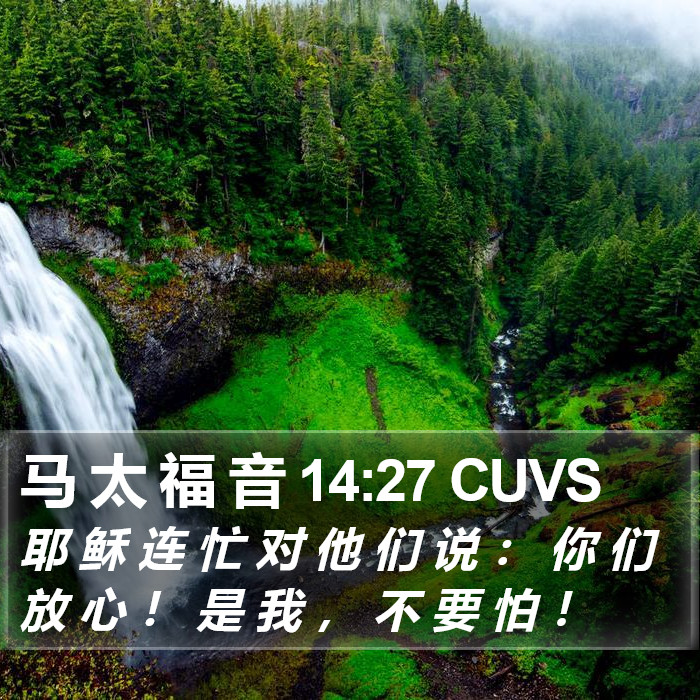 马 太 福 音 14:27 CUVS Bible Study