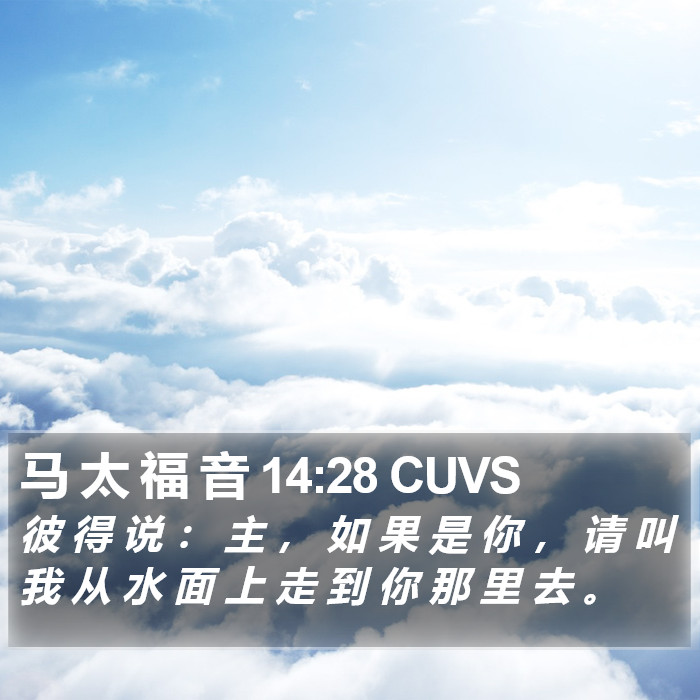 马 太 福 音 14:28 CUVS Bible Study