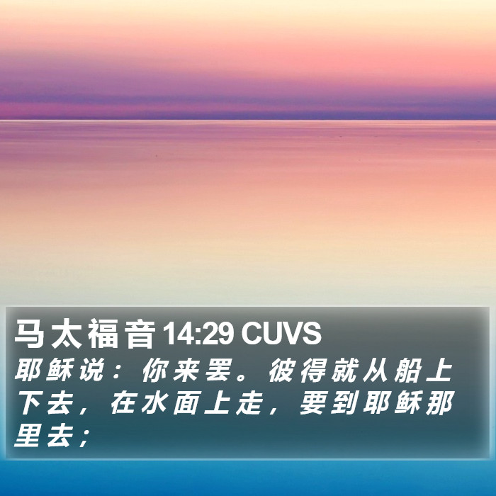 马 太 福 音 14:29 CUVS Bible Study