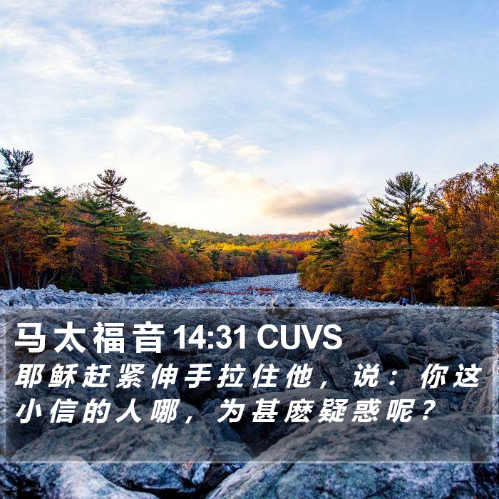 马 太 福 音 14:31 CUVS Bible Study