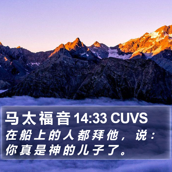 马 太 福 音 14:33 CUVS Bible Study