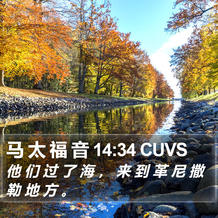 马 太 福 音 14:34 CUVS Bible Study