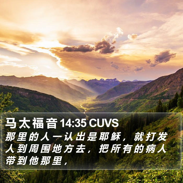 马 太 福 音 14:35 CUVS Bible Study