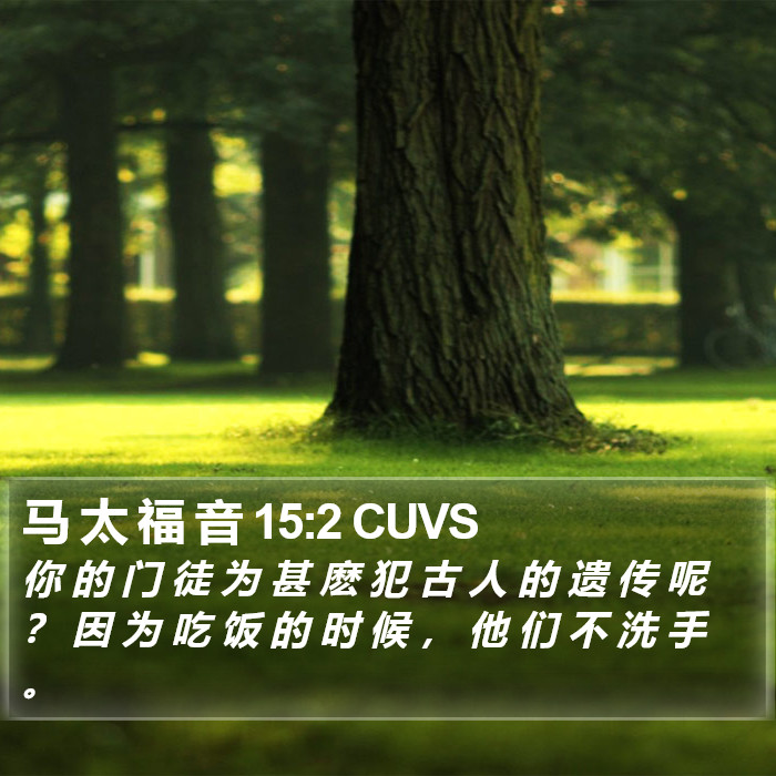 马 太 福 音 15:2 CUVS Bible Study