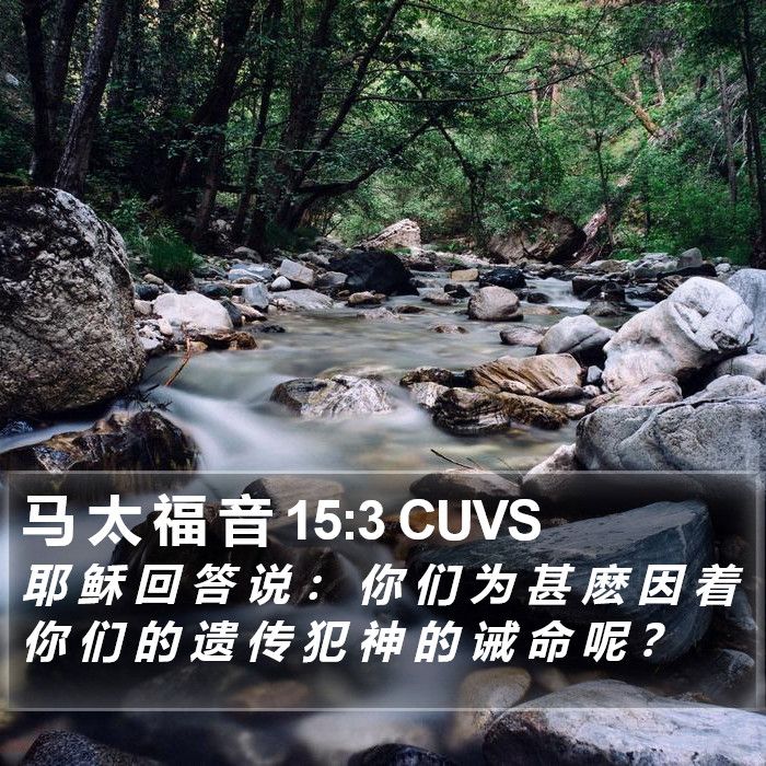 马 太 福 音 15:3 CUVS Bible Study