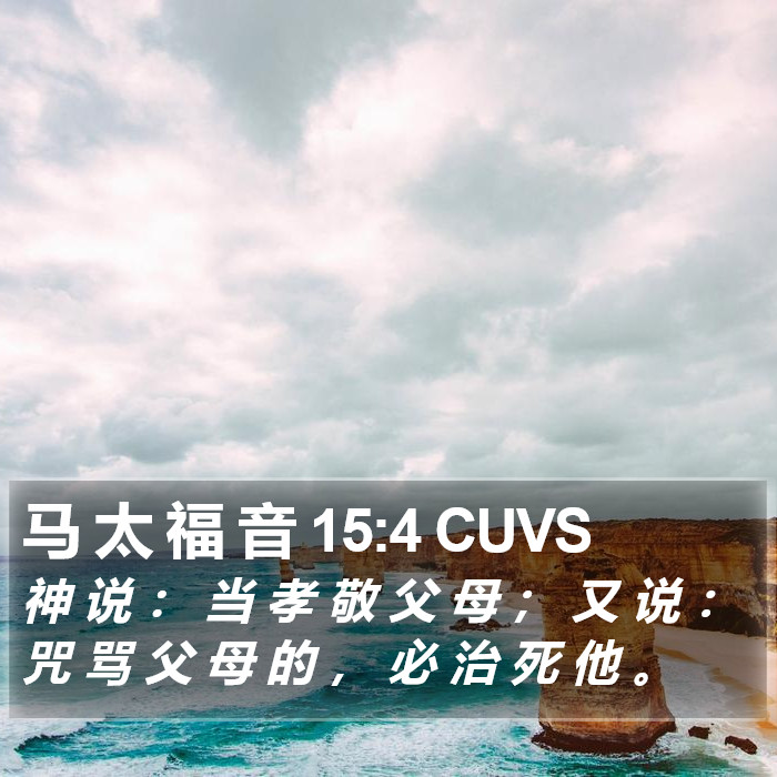 马 太 福 音 15:4 CUVS Bible Study