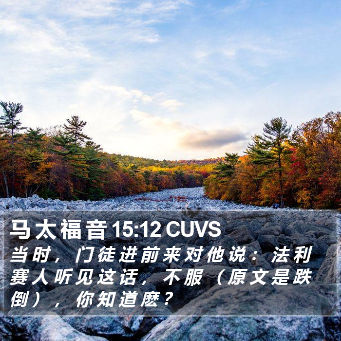 马 太 福 音 15:12 CUVS Bible Study