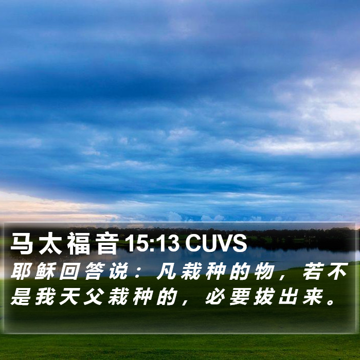 马 太 福 音 15:13 CUVS Bible Study