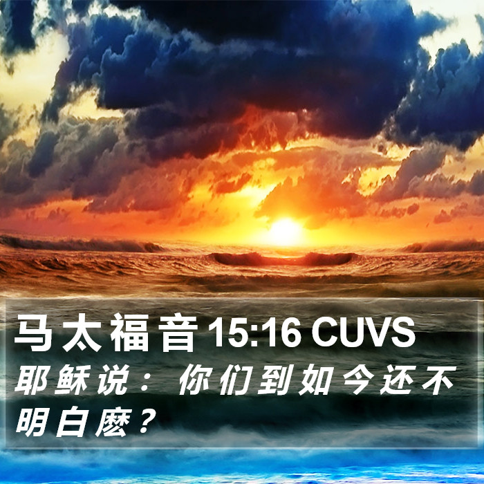 马 太 福 音 15:16 CUVS Bible Study