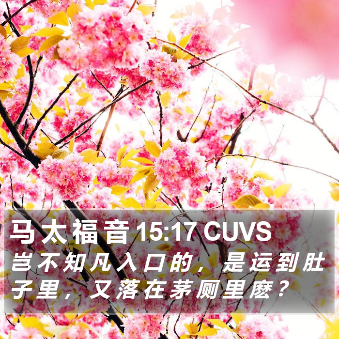 马 太 福 音 15:17 CUVS Bible Study