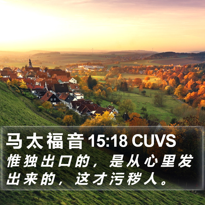 马 太 福 音 15:18 CUVS Bible Study