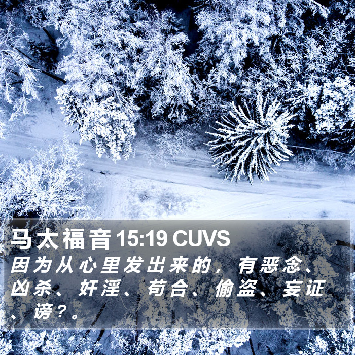 马 太 福 音 15:19 CUVS Bible Study