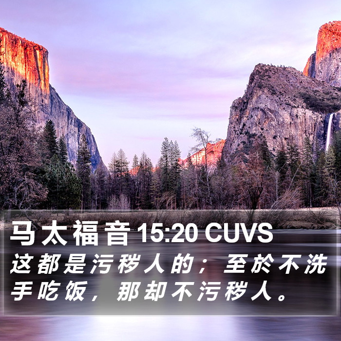 马 太 福 音 15:20 CUVS Bible Study