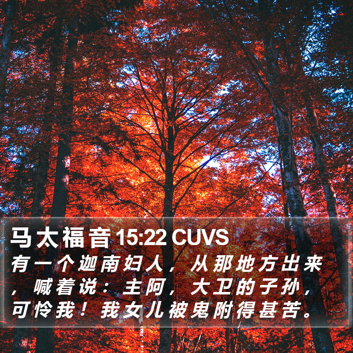 马 太 福 音 15:22 CUVS Bible Study