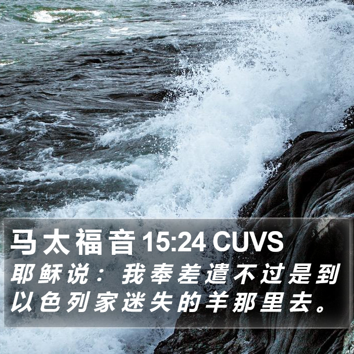 马 太 福 音 15:24 CUVS Bible Study