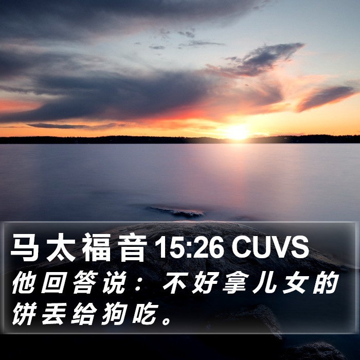 马 太 福 音 15:26 CUVS Bible Study