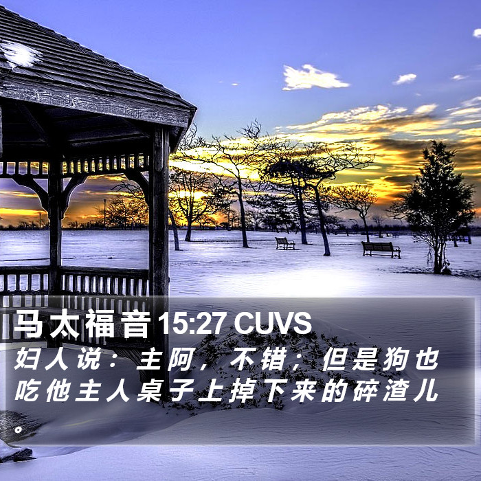 马 太 福 音 15:27 CUVS Bible Study