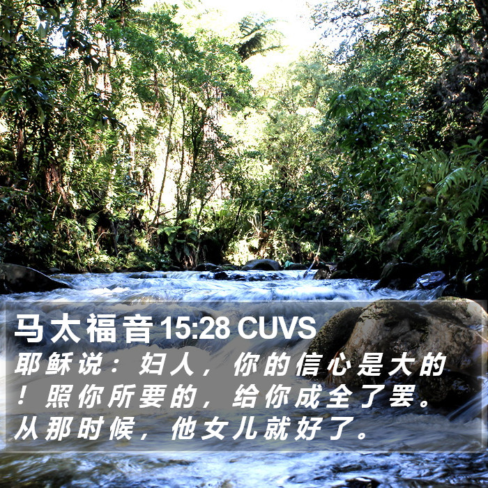 马 太 福 音 15:28 CUVS Bible Study