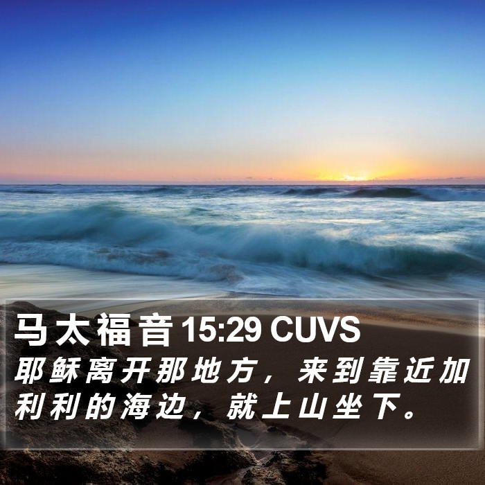 马 太 福 音 15:29 CUVS Bible Study