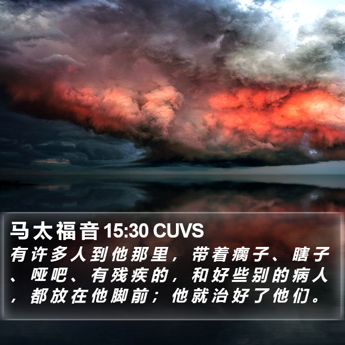 马 太 福 音 15:30 CUVS Bible Study