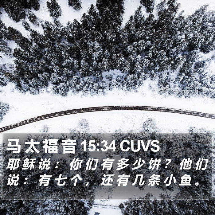 马 太 福 音 15:34 CUVS Bible Study