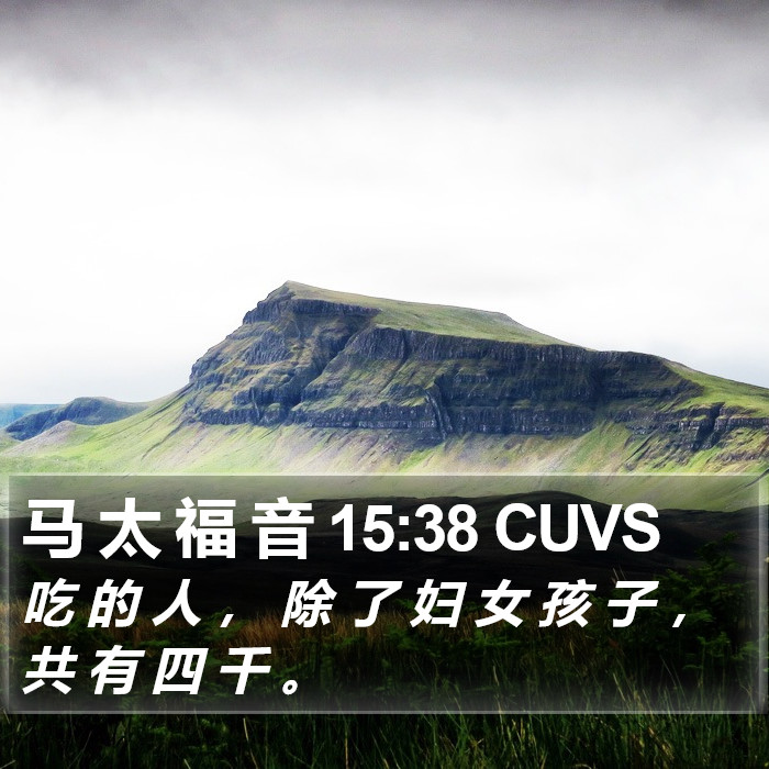 马 太 福 音 15:38 CUVS Bible Study