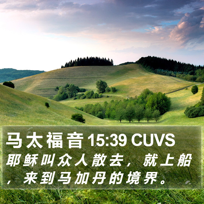 马 太 福 音 15:39 CUVS Bible Study