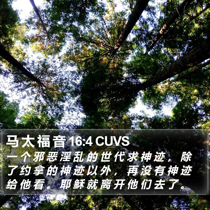 马 太 福 音 16:4 CUVS Bible Study