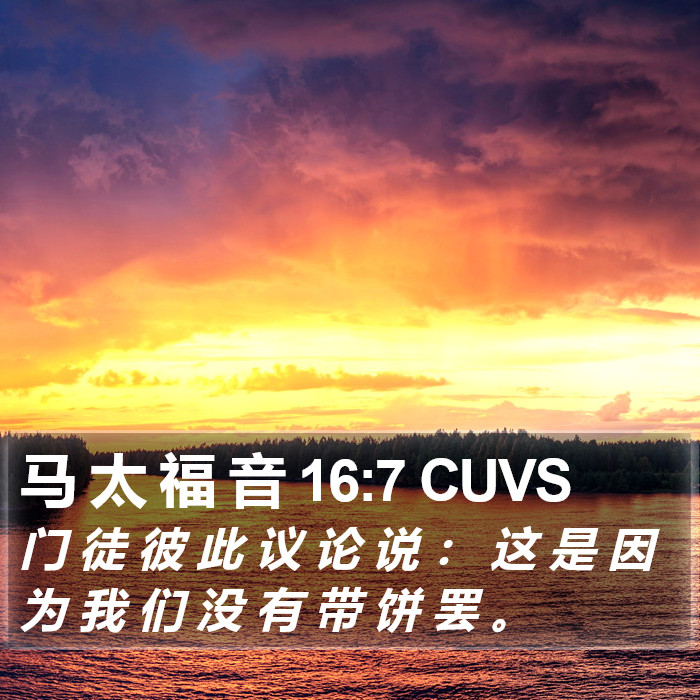 马 太 福 音 16:7 CUVS Bible Study