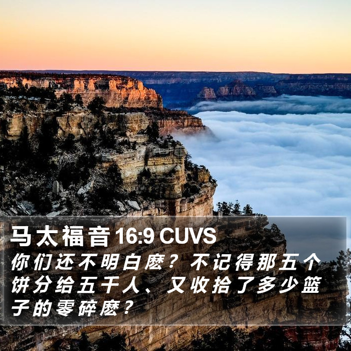 马 太 福 音 16:9 CUVS Bible Study