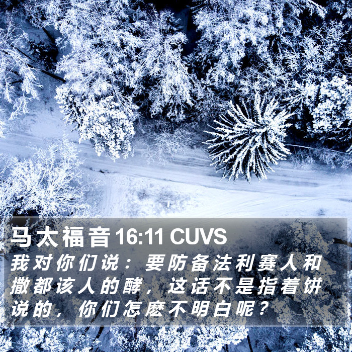 马 太 福 音 16:11 CUVS Bible Study