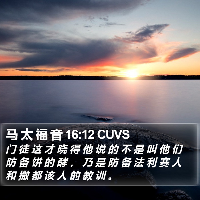 马 太 福 音 16:12 CUVS Bible Study