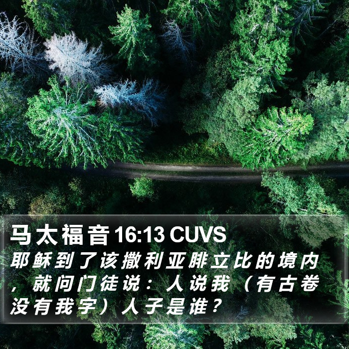 马 太 福 音 16:13 CUVS Bible Study