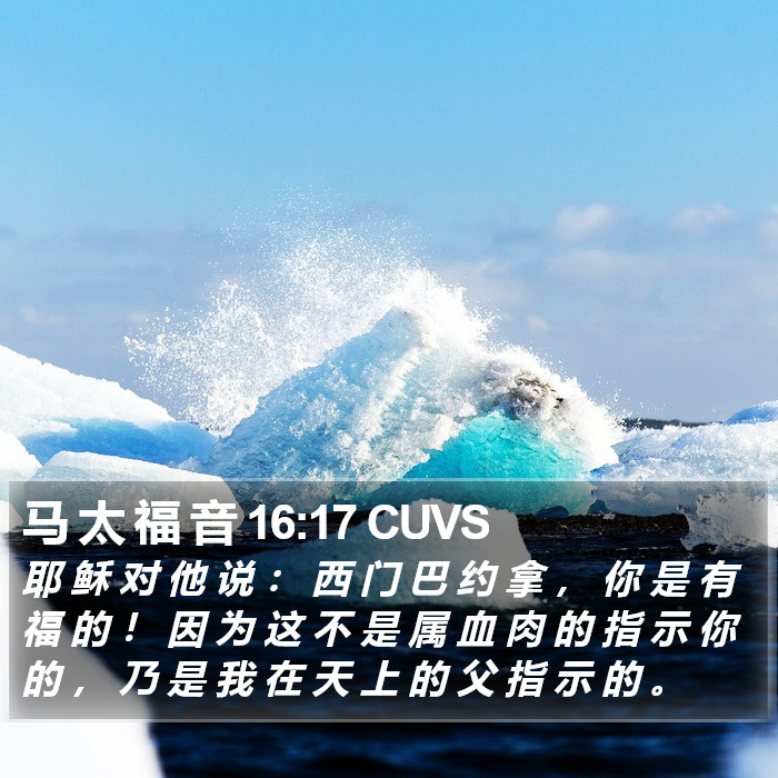 马 太 福 音 16:17 CUVS Bible Study