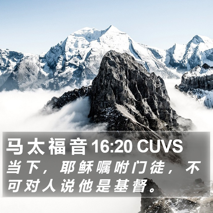 马 太 福 音 16:20 CUVS Bible Study