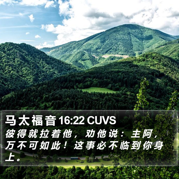 马 太 福 音 16:22 CUVS Bible Study