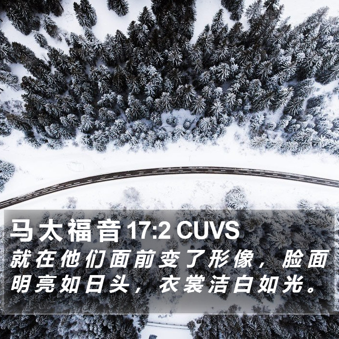 马 太 福 音 17:2 CUVS Bible Study