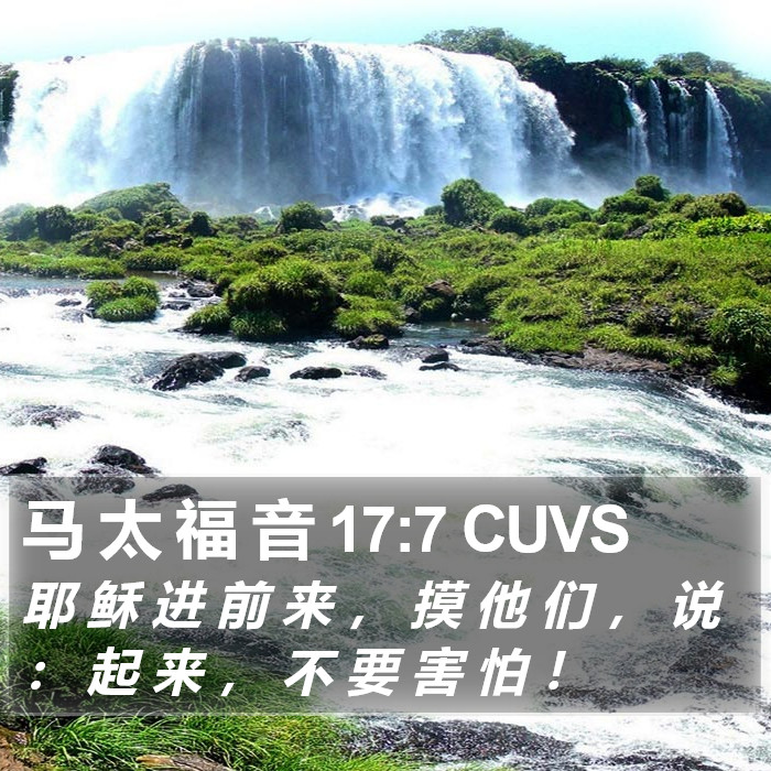 马 太 福 音 17:7 CUVS Bible Study