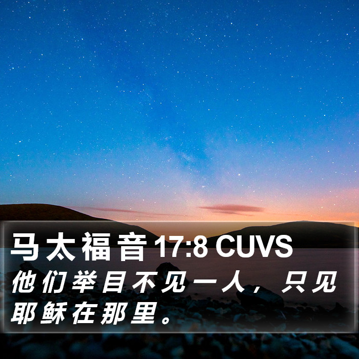 马 太 福 音 17:8 CUVS Bible Study