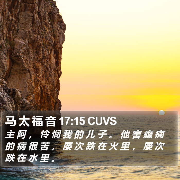 马 太 福 音 17:15 CUVS Bible Study