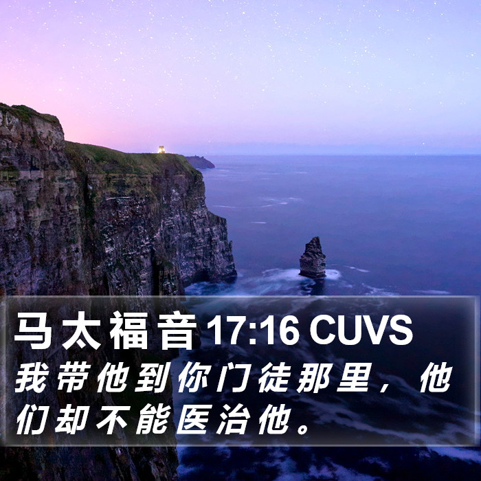 马 太 福 音 17:16 CUVS Bible Study