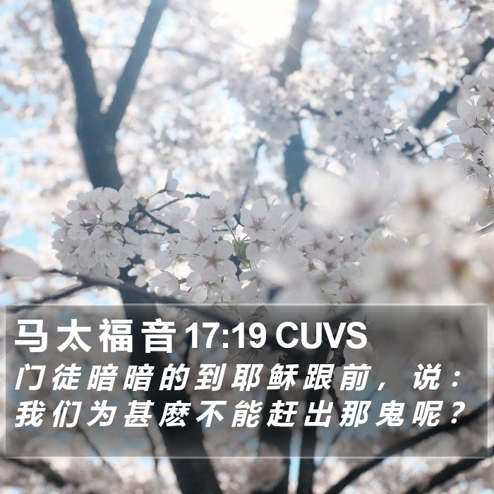 马 太 福 音 17:19 CUVS Bible Study