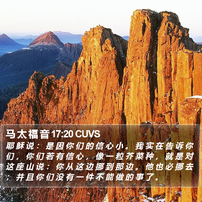 马 太 福 音 17:20 CUVS Bible Study