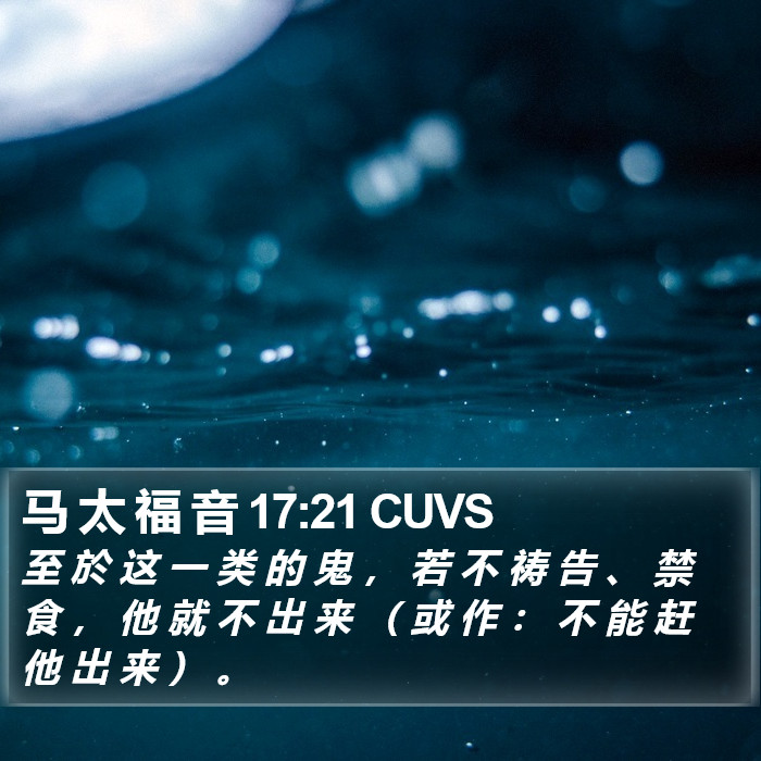 马 太 福 音 17:21 CUVS Bible Study