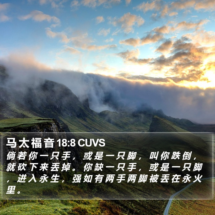 马 太 福 音 18:8 CUVS Bible Study