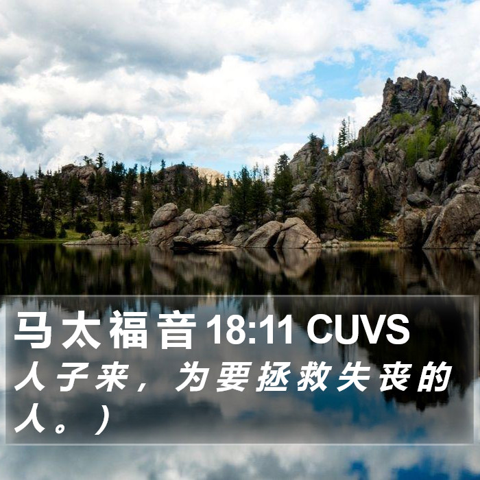 马 太 福 音 18:11 CUVS Bible Study