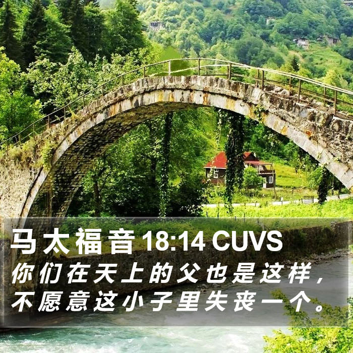 马 太 福 音 18:14 CUVS Bible Study