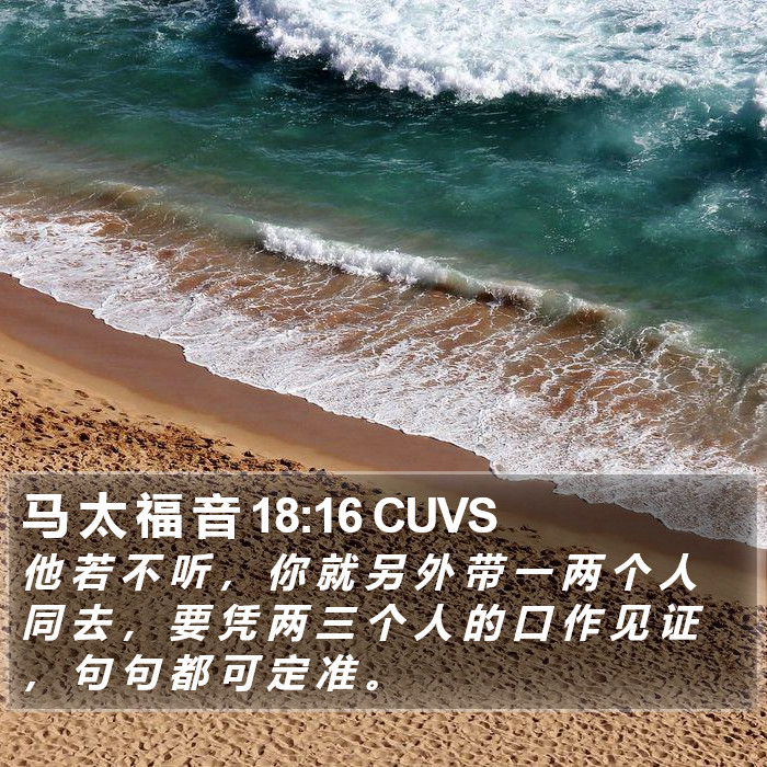 马 太 福 音 18:16 CUVS Bible Study