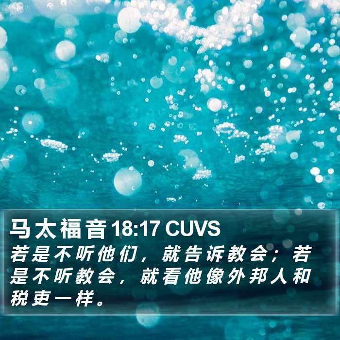 马 太 福 音 18:17 CUVS Bible Study