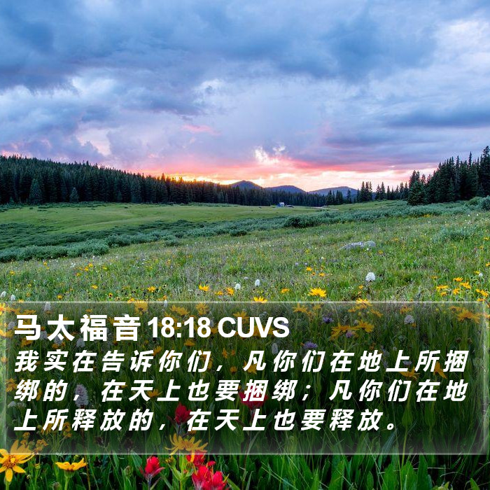 马 太 福 音 18:18 CUVS Bible Study